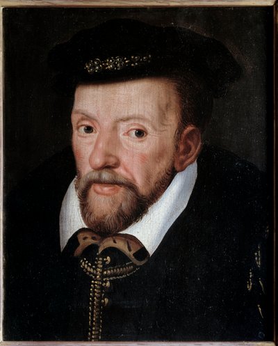 Gaspard de Coligny (1519-1572) 法国海军上将的肖像 法国画派绘画。 16世纪太阳。 0,24x0,19 m 作者 法语学校