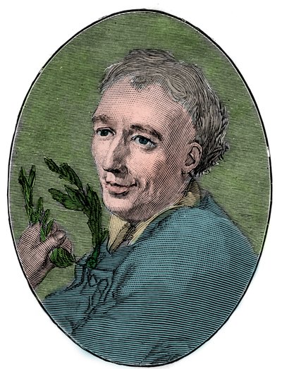 劳伦斯·尤斯登（1688-1730）英国诗人的肖像。 作者 法语学校
