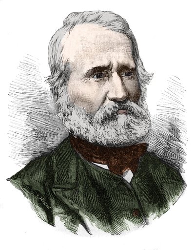 Portrait of Louis-Auguste Blanqui (Louis Auguste 作者 法语学校