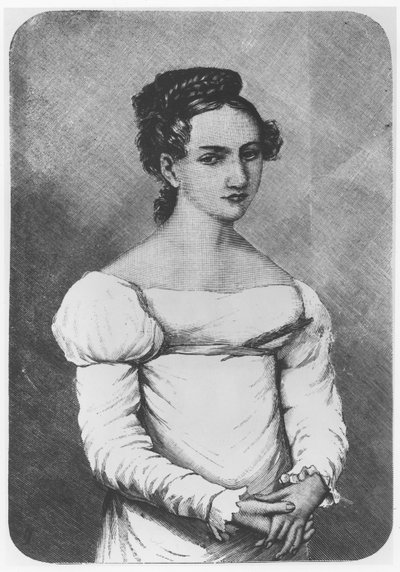 Maria Wereszczaka的肖像 作者 法语学校
