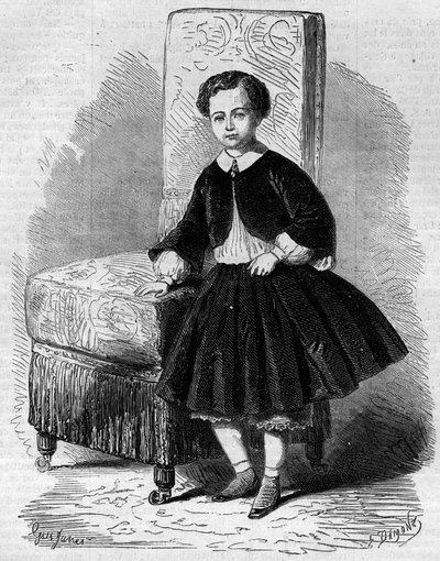 拿破仑-尤金-路易斯-让-约瑟夫-波拿巴（1856-1879）的肖像，被称为帝国王子，拿破仑三世的儿子。11月26日《世界画报》第137期上的版画。 作者 法语学校