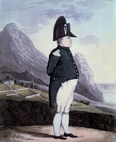 1815 年 5 月在圣海伦岛上的拿破仑一世 (1769-1821) 肖像 19 世纪艾克斯岛的版画。 拿破仑博物馆 作者 法语学校