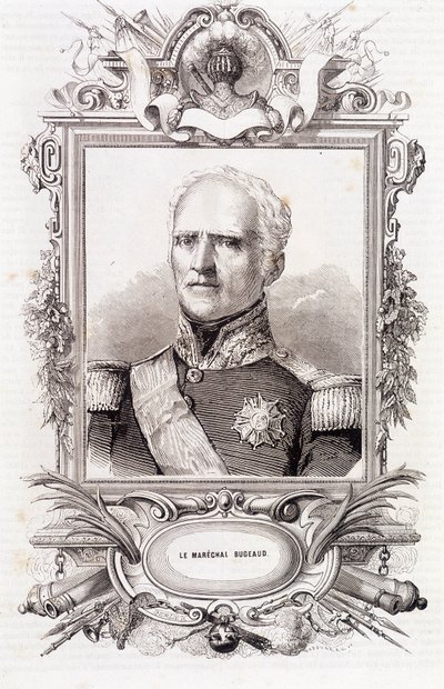 法国元帅托马斯-罗贝尔-布热奥（1784-1849 年）肖像 作者 法语学校