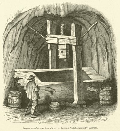 在树干中按挖（雕刻） 作者 法语学校