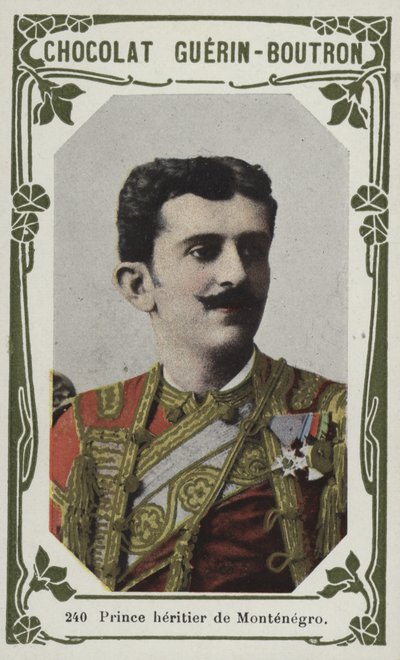 Prince heritier de Montenegro（彩色照片） 作者 法语学校