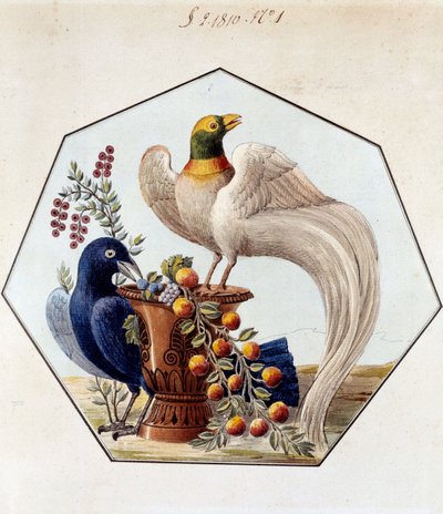 Alexandre Brongniart (1770-1847)的瓷器中的鸟类表项目。1810年 塞夫勒，塞夫勒制造厂档案馆 作者 法语学校