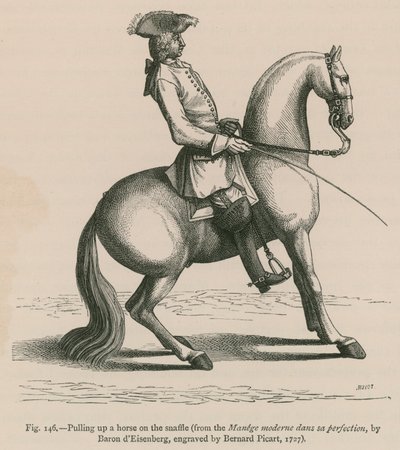 在Snaffle上拉起一匹马（来自Manege moderne dans sa完美，由Baron dEisenberg，由Bernard Picart雕刻，1727年） 作者 法语学校