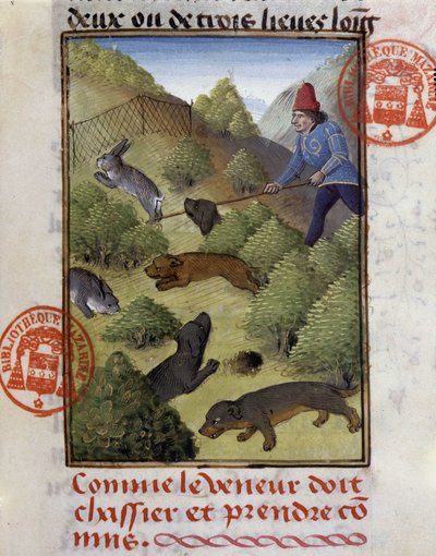 Rabbit Hunt - in “” Hunting Book of Gaston Phoebus, Count of Foix, Lord of Béarn”” 作者 法语学校