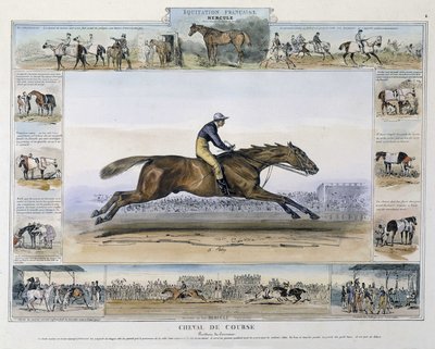 Race horse in “” Picturesque history of ancient and modern riding”” by Charles Aubry 作者 法语学校