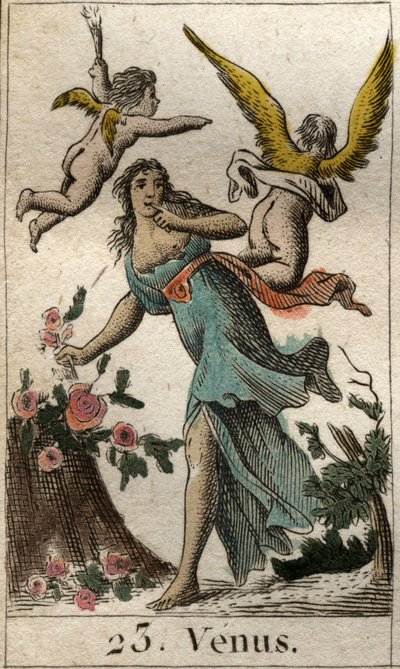 维纳斯的代表，爱、美和生育的女神。摘自皮埃尔-布兰查德1803年的《青年神话》。 作者 法语学校