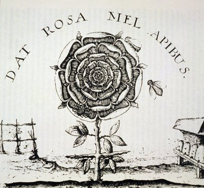 Rosicrucian Allegory，Johann Theodore de Bry（约1598年）的版画复制品，用于19世纪后期出版的“魔法史” 作者 法语学校