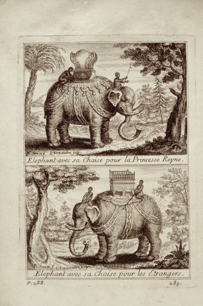 皇家大象，1688年来自Guy Tachard的Voyage du Siam des Peres Jesuites 作者 法语学校