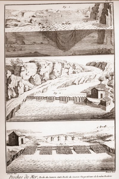 三文鱼捕捞技术--丹尼斯-狄德罗（1713-1784）和让-达朗贝尔（1717-1783）的《科学、艺术和职业百科全书或词典》。 作者 法语学校