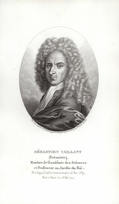SébastienVaillant 作者 法语学校