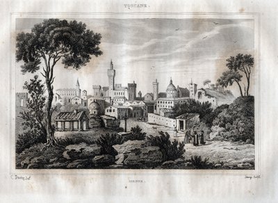 锡耶纳--锡耶纳--托斯卡纳--托斯卡纳--来自M. de Norvins, Ch. Nodier 1834-1836的 "意大利风景画 "的版画。 作者 法语学校