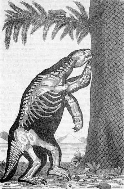 megatherium 的骨架 - 在 Camille Flammarion 的“人类创造之前的世界”中 作者 法语学校