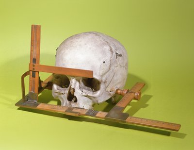 由Paul Broca（1824-88）（木材和铜）建造的面部测角仪中的头骨 作者 法语学校