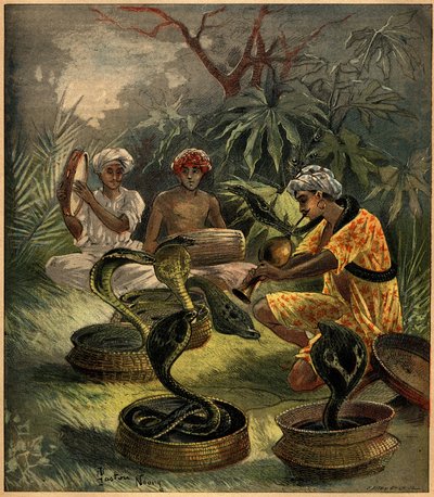 印度的耍蛇人（眼镜蛇）。1892年8月18日 "La Terre Illustree "第94期上的版画。 作者 法语学校