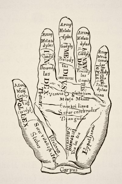 中世纪的科学与文学》（Science and Literature in The Middle Ages），保罗-拉克鲁瓦（Paul Lacroix）出版，伦敦，1878 年。伦敦，1878 年 作者 法语学校