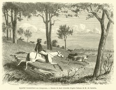 Squatter rassemblant ses troupeaux (engraving) 作者 法语学校
