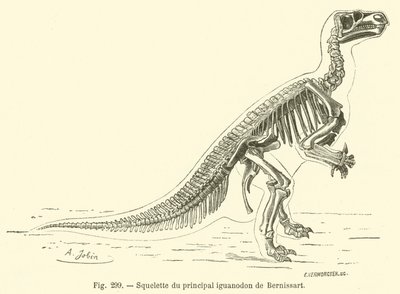 主要 Bernissat iguanodon 的骨架（雕刻） 作者 法语学校