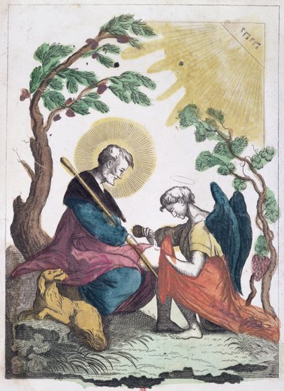 St. Rocco（1295-1327）蒙彼利埃的绅士 作者 法语学校