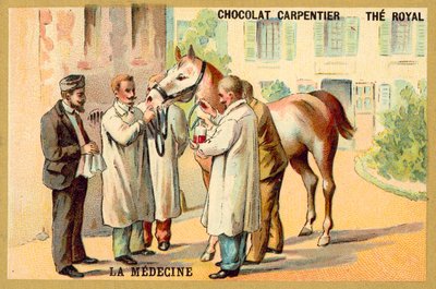Taking blood from a horse (chromolitho) 作者 法语学校