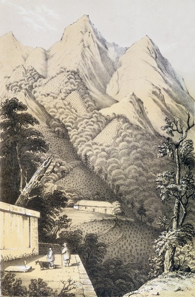 中国绿茶区的茶园，取自中国茶叶之乡，1852年首次出版，由罗伯特财富（1812-1880） 作者 法语学校