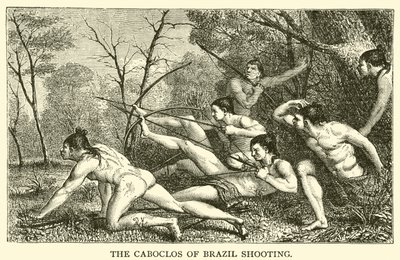 The Caboclos of Brazil Shooting (engraving) 作者 法语学校