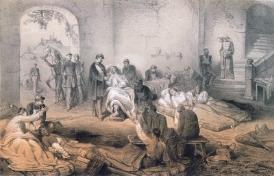 拿破仑三世皇帝在1859年6月24日索尔费里诺战役后访问受伤的士兵 作者 法语学校