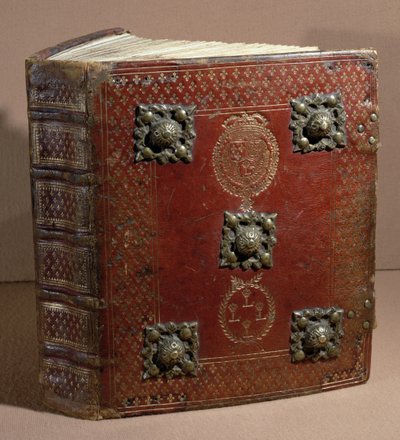 Cour des Comptes的Ferre Book（皮革和牛皮纸） 作者 法语学校