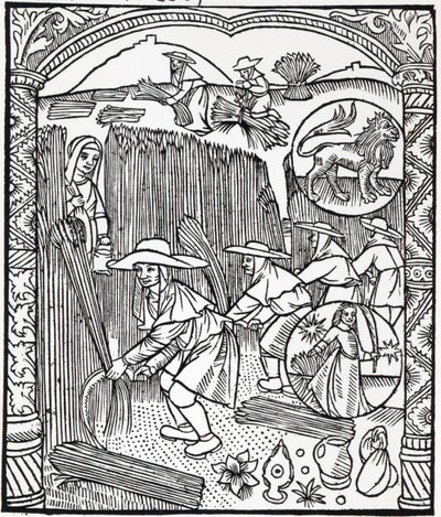 8月，从牧羊人日历，1496年 作者 法语学校