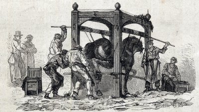 阿尔福国家兽医学校 - Les grandes écoles de france - école veterinaire de maison alfort en 1866 - le ferrage des chevaux retifs - 1866年 "Le monde illustrious "中的版画 作者 法语学校