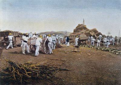 新喀里多尼亚努美阿刑事殖民地工作的囚犯，由Gillot雕刻，c.1900 作者 法语学校