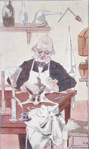 兔子和智者》，选自查尔斯-里切特（1850-1935）的《大人物和小人物》，巴黎 作者 法语学校