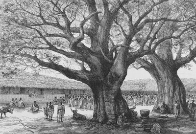 奥阿布的皇家住所，插图取自路易斯·古斯塔夫·宾格（Louis Gustave Binger）的“杜尼日尔·吉尔高尔夫球场...”，1892年 作者 法语学校