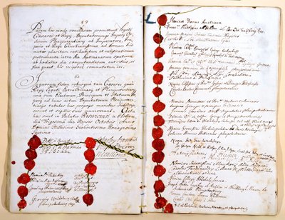 1697年10月30日的里斯威克条约 作者 法语学校