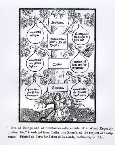 生物之树和物质，印在1514年，中世纪和文艺复兴时期的科学和文学插图，由Paul Lacroix编写和雕刻，1878年 作者 法语学校