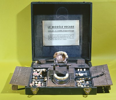 Vecabe模型，用于制作牙冠和牙桥 作者 法语学校
