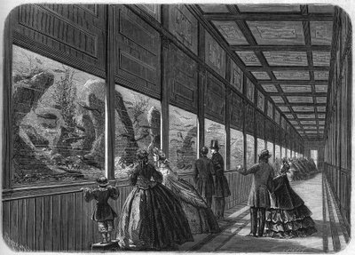 The aquarium of the Paris acclimatization garden in 1863. 作者 法语学校