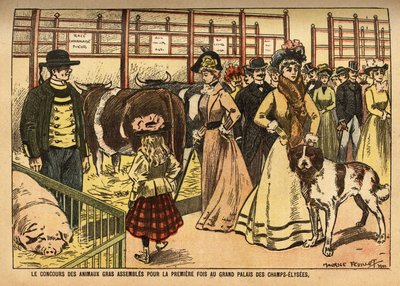 牛、绵羊、猪和其他科的肥育动物比赛首次在香榭丽舍大街大皇宫的大礼堂里举行。 作者 法语学校