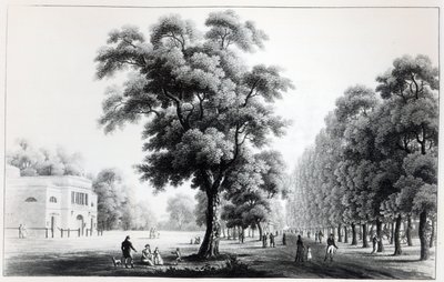 1821年，维也纳普拉特的主要大道 作者 法语学校