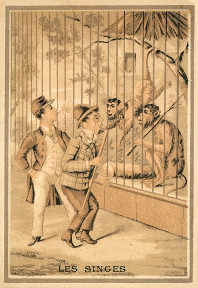 The monkeys (chromolitho) 作者 法语学校