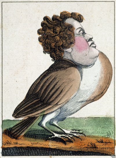 The pigeon in Caricature, study of character “volatile character” sd. 19th, popular imagery. 作者 法语学校