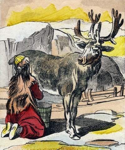 正在挤奶的驯鹿。 雕刻“Buffon Alphabet des Animaux”。第三系列 N 1。Epinal，Epinal，19 世纪后期的成像。16 页。尺寸：28x21cm 作者 法语学校