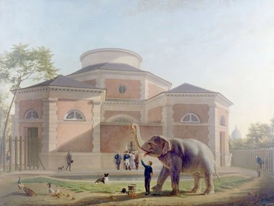巴黎植物园圆形大厅，约 1810 年（绘画） 作者 法语学校