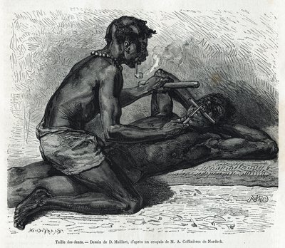 The size of the teeth in the Okanda, drawing by D. Maillard, to illustrate the story of a trip to Gabon and the Ogoue River in 1875-1877, by Alfred Marche. Engraving in Le tour du monde 作者 法语学校