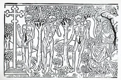 三人死了 作者 法语学校