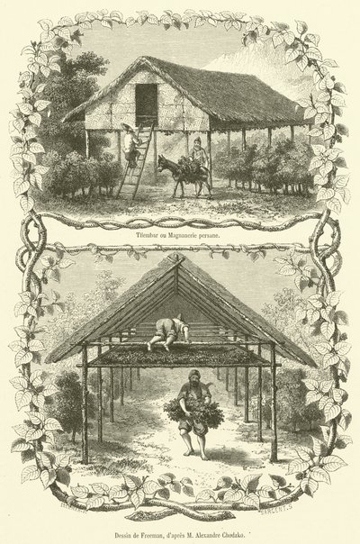 Tilembar ou Magnanerie persane (雕刻) 作者 法语学校