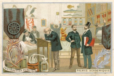 与Ordre des Palmes Academiques图像的交易卡 作者 法语学校